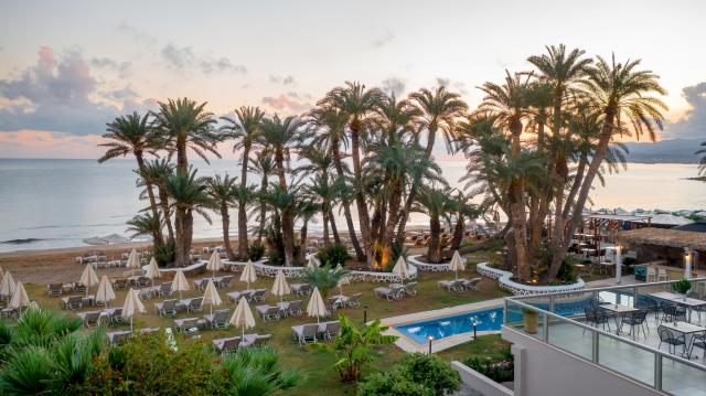 PALM BEACH - Pláž - Pláž
