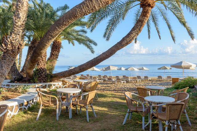 PALM BEACH - Pláž - Pláž