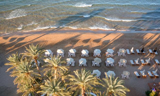 PALM BEACH - Pláž - Pláž
