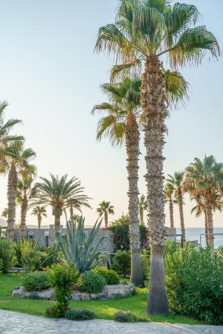 IKAROS BEACH LUXURY RESORT&SPA (ADULTS ONLY 16+) - Obecné - Ost