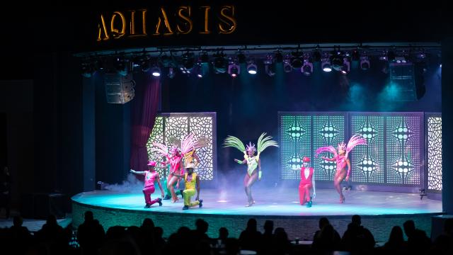 AQUASIS DE LUXE RESORT & SPA - Animace - Animace