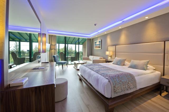 LIBERTY HOTELS LYKIA ADULT ONLY (16+) - Pokoje - DELUXE STANDAR