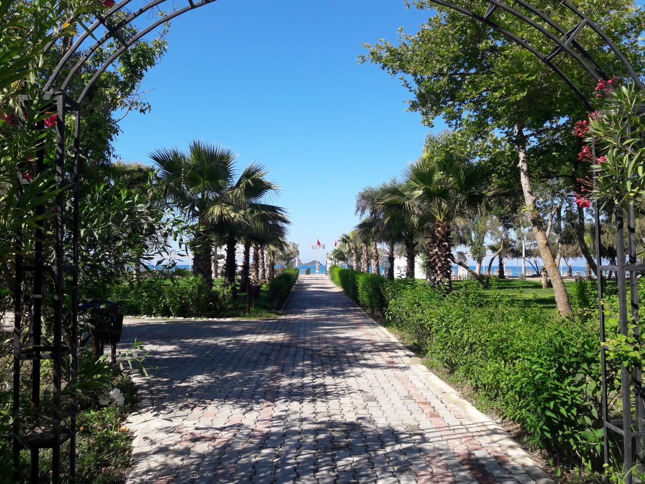 LYKIA BOTANIKA BEACH - Pláž - Pláž