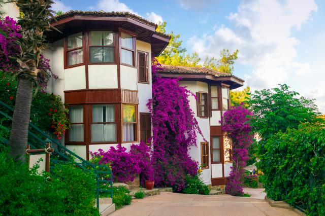 CLUB & HOTEL LETOONIA - Obecné - Ostatní