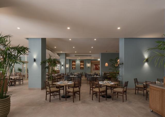 JAZ ELITE ASTERIA - Restaurace - Restaurace