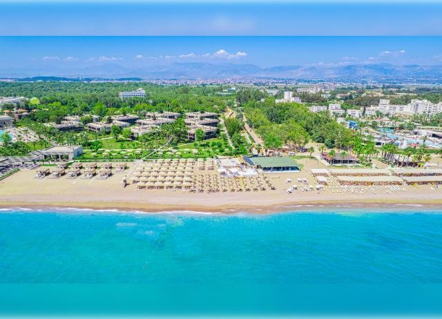 BERRY BLUE HOTEL - Pláž - Pláž
