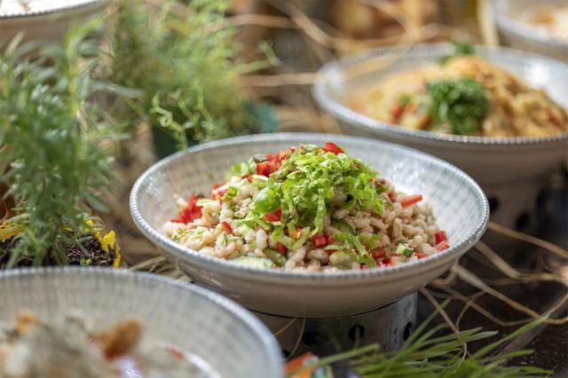 BERRY BLUE HOTEL - Restaurace - SOFRA MAIN RESTOURANT