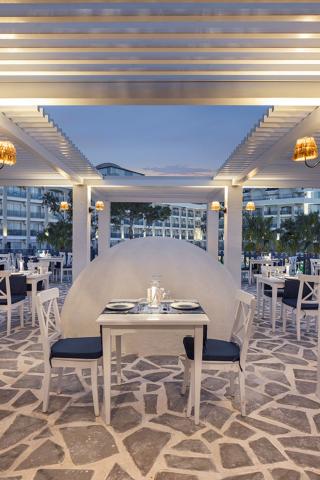 BERRY BLUE HOTEL - Restaurace - AGAPI