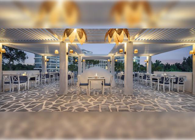 BERRY BLUE HOTEL - Restaurace - AGAPI
