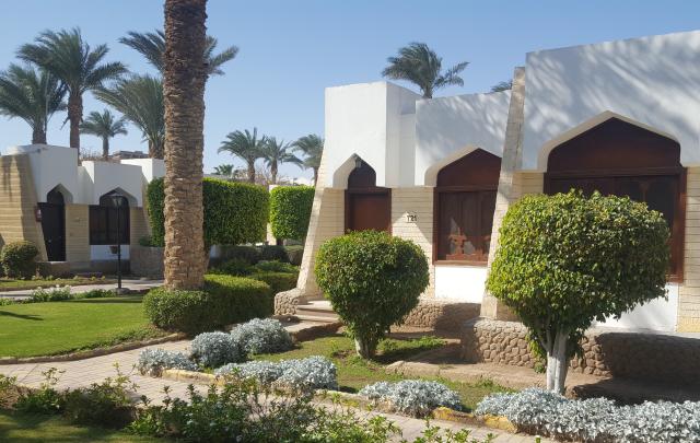 REGINA RESORT & AQUA PARK - Pokoje - Bungalow