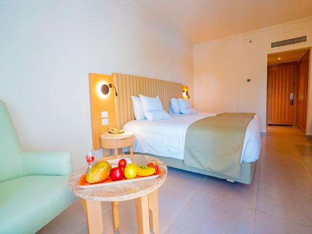 Superior Pool & Partial Sea Side Room