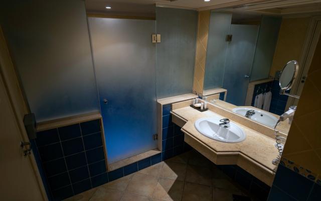 Deluxe Sea & Pool View Room 