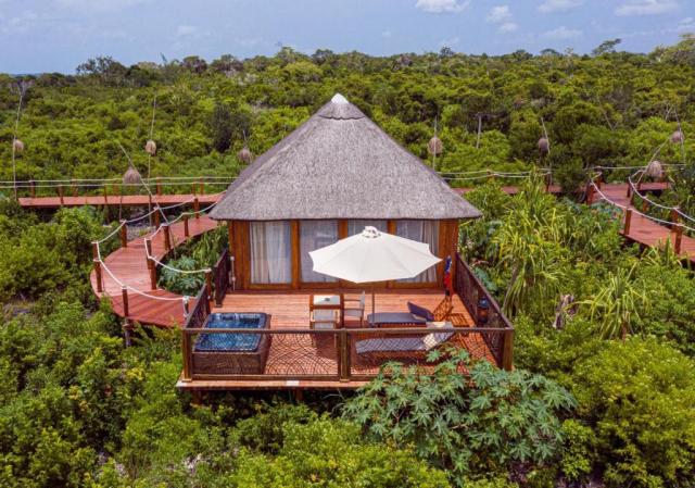 Jungle Villa