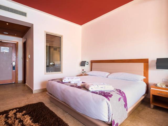 Superior Garden View Room