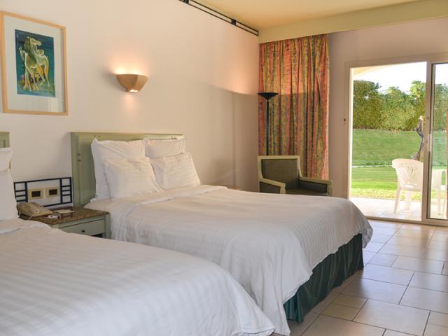 Standard Garden View Room