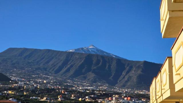 Teneguia