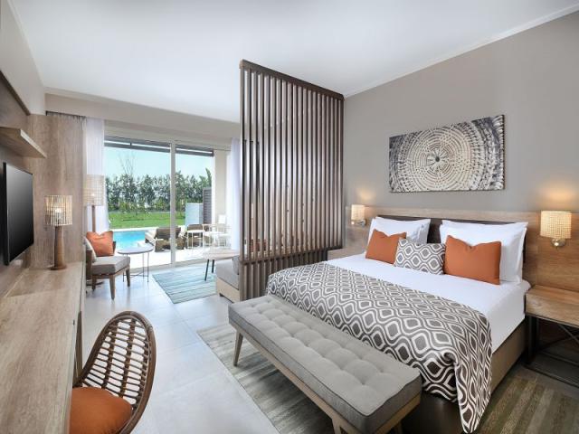 Executive Suite with Private Swim-Up Pool