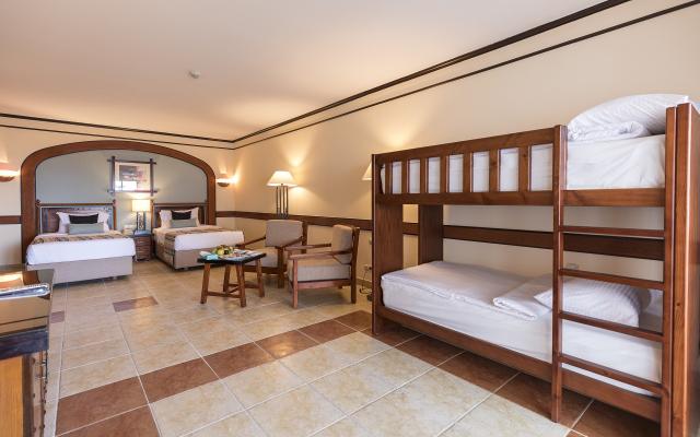 Family Room Bunk Bed