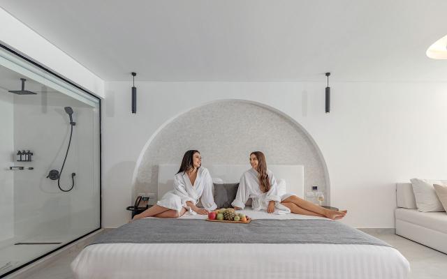 Deluxe SSV Room
