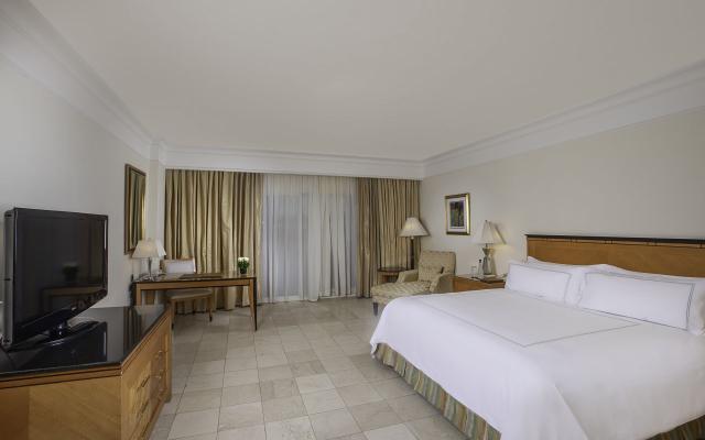 Executive Suite Adult