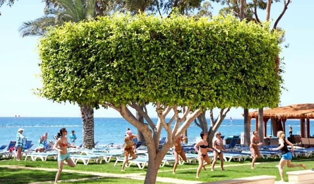 Poseidonia Beach