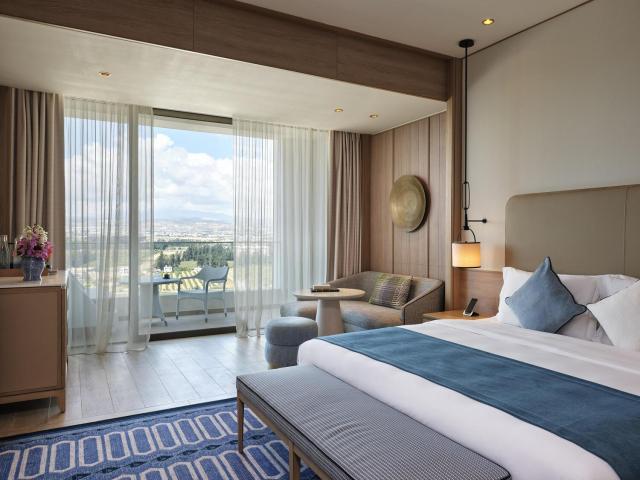  Premier Mountain View