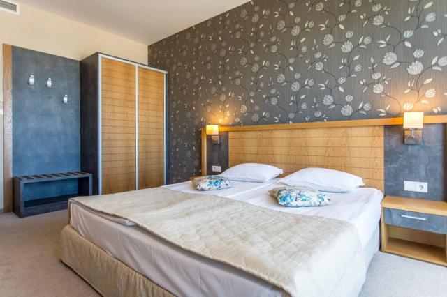 Apartment 1 Bedroom Premium 3+2