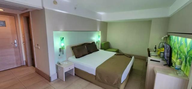 Standard Room Park Building