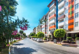 Lonicera City