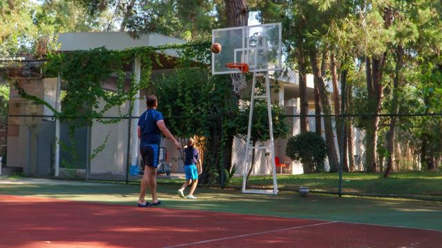Sport