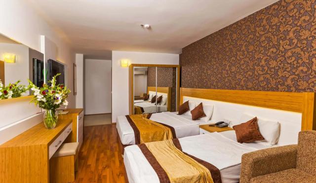 Standard Large Room