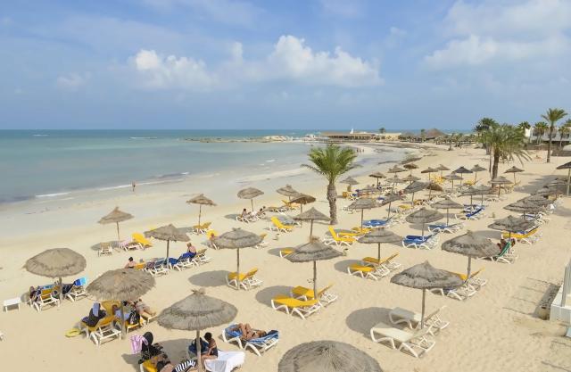Monarque Dar Jerba Zahra