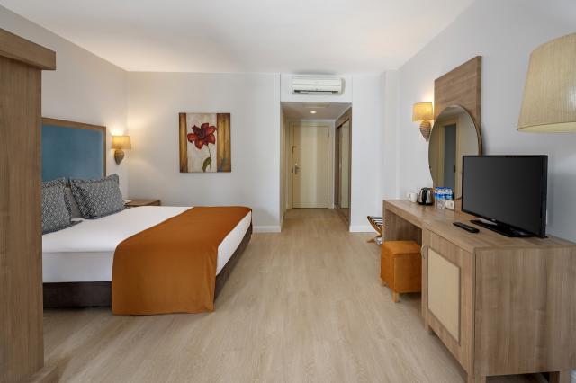 Hotel Large Room