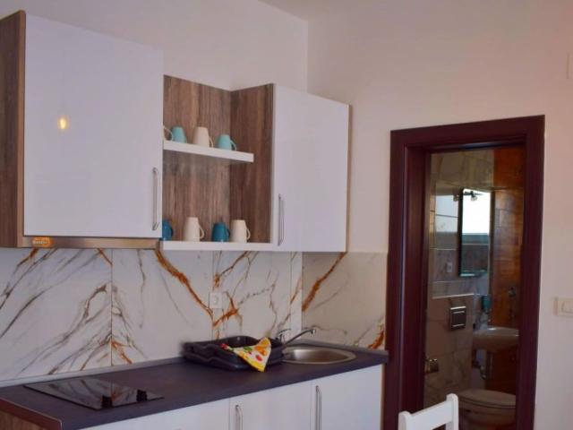 1 Bedroom Apartment 04