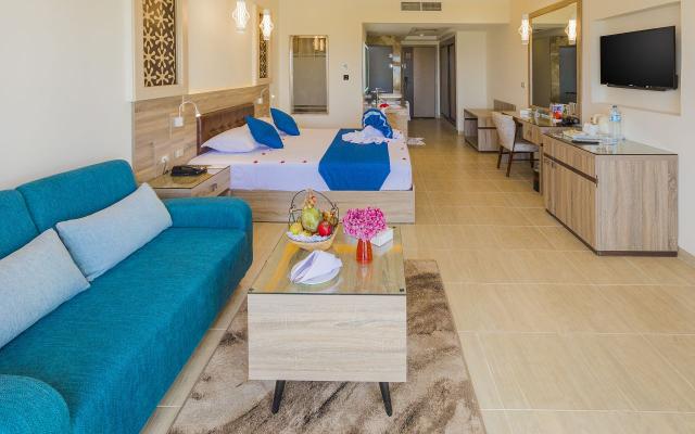Deluxe Room (Adult only+14) 