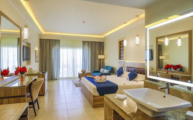 Deluxe Room (Adult only+14) 