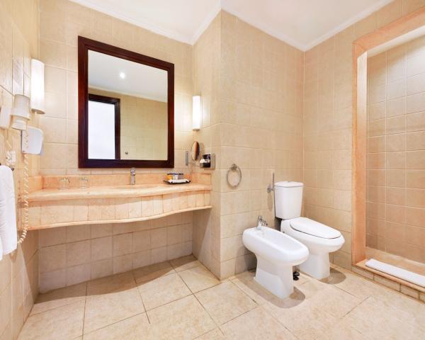 Superior Garden View Room