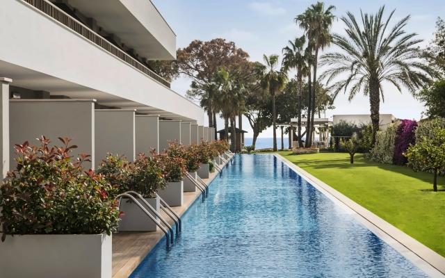 Acanthus & Cennet Barut Collection