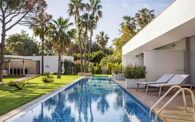 Acanthus & Cennet Barut Collection
