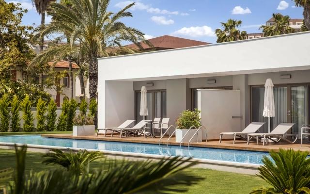 Acanthus & Cennet Barut Collection