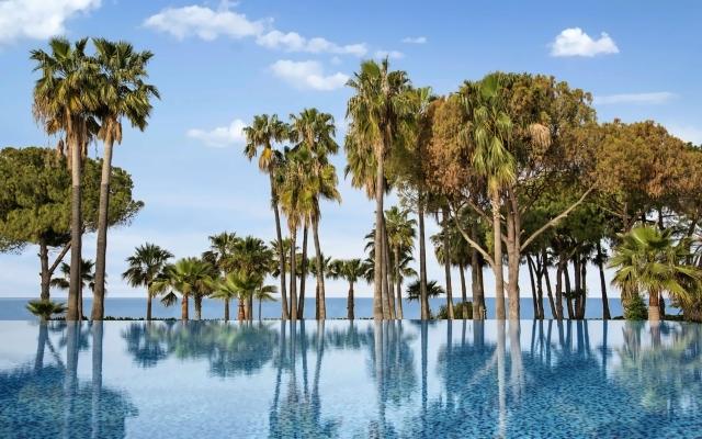 Acanthus & Cennet Barut Collection