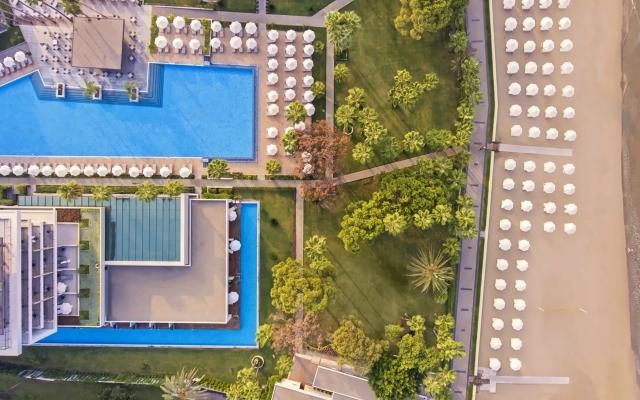 Acanthus & Cennet Barut Collection