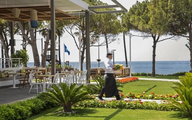 Acanthus & Cennet Barut Collection