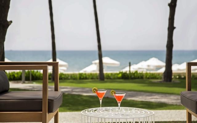 Acanthus & Cennet Barut Collection