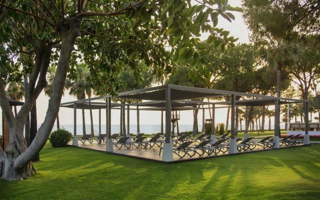 Acanthus & Cennet Barut Collection