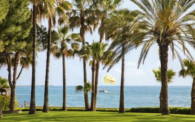 Acanthus & Cennet Barut Collection