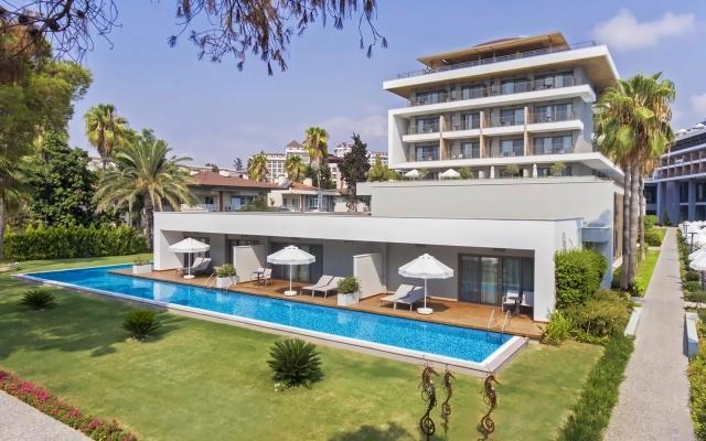 Acanthus & Cennet Barut Collection