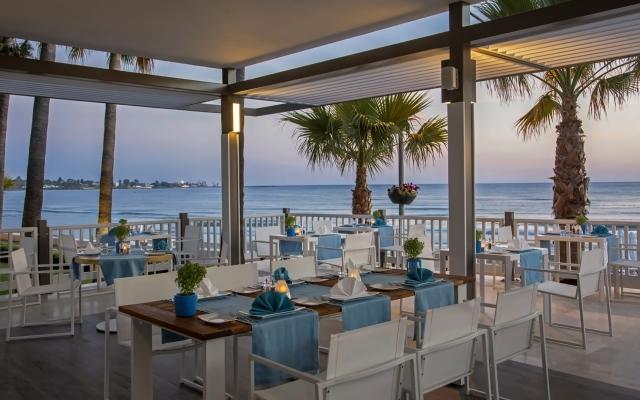 Acanthus & Cennet Barut Collection