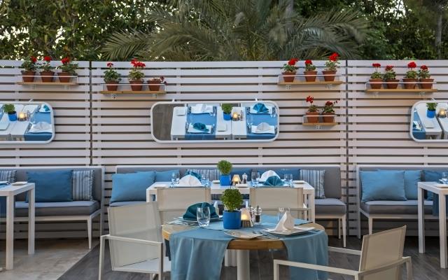 Acanthus & Cennet Barut Collection