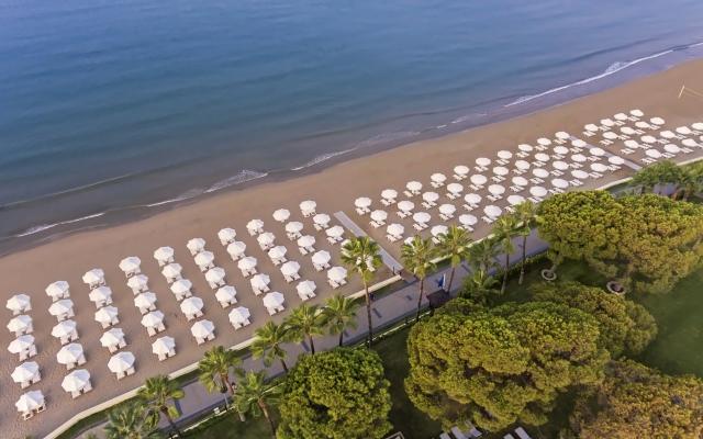 Acanthus & Cennet Barut Collection